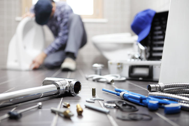 toilet repair